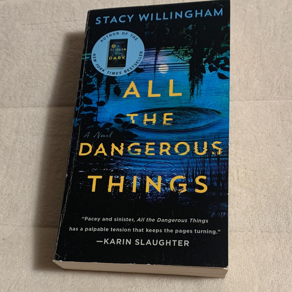 🐸2:$10🐸 Crime. All the Dangerous Things Book by Stacy Willingham